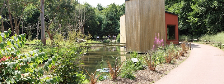 [2] pano, 100CANON, 3 images, IMG_2826 - IMG_2828 - 4710x1774 - SCUL-Smartblend.jpg - arrière d'iles de primates